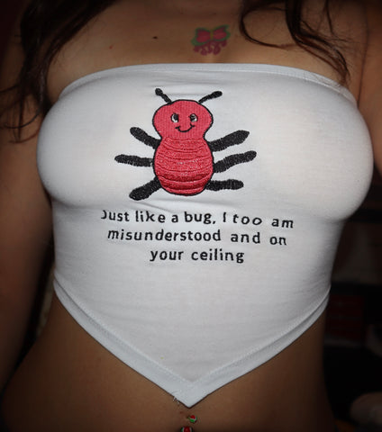 Misunderstood Bug