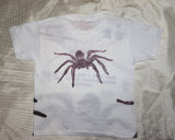 Bug Baby Tee Size Small One of a Kind