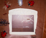 Bug Tube Top Size Small One of a Kind