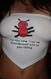 Misunderstood Bug