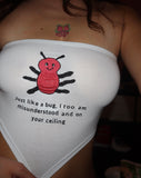 Misunderstood Bug