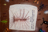 Bug Tube Top Size Medium One of a Kind