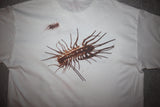 Bug T-Shirt Size Large One of a Kind