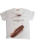 Bug T-Shirt Size Large One of a Kind
