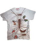 Bug T-Shirt Size Medium One of a Kind